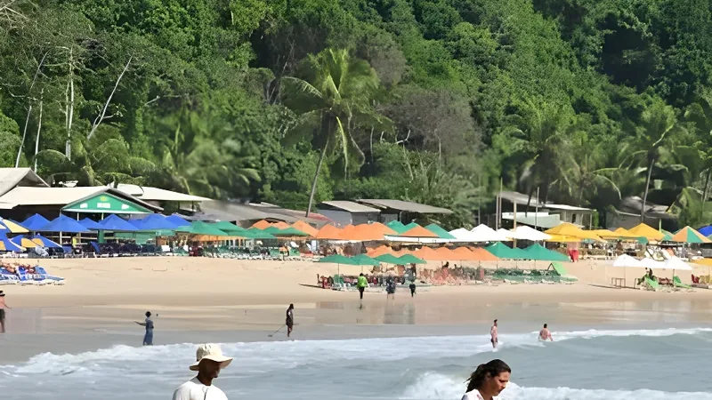 Surf lessons in Pipa: compare Eco Surf and URRU at Madeiro
